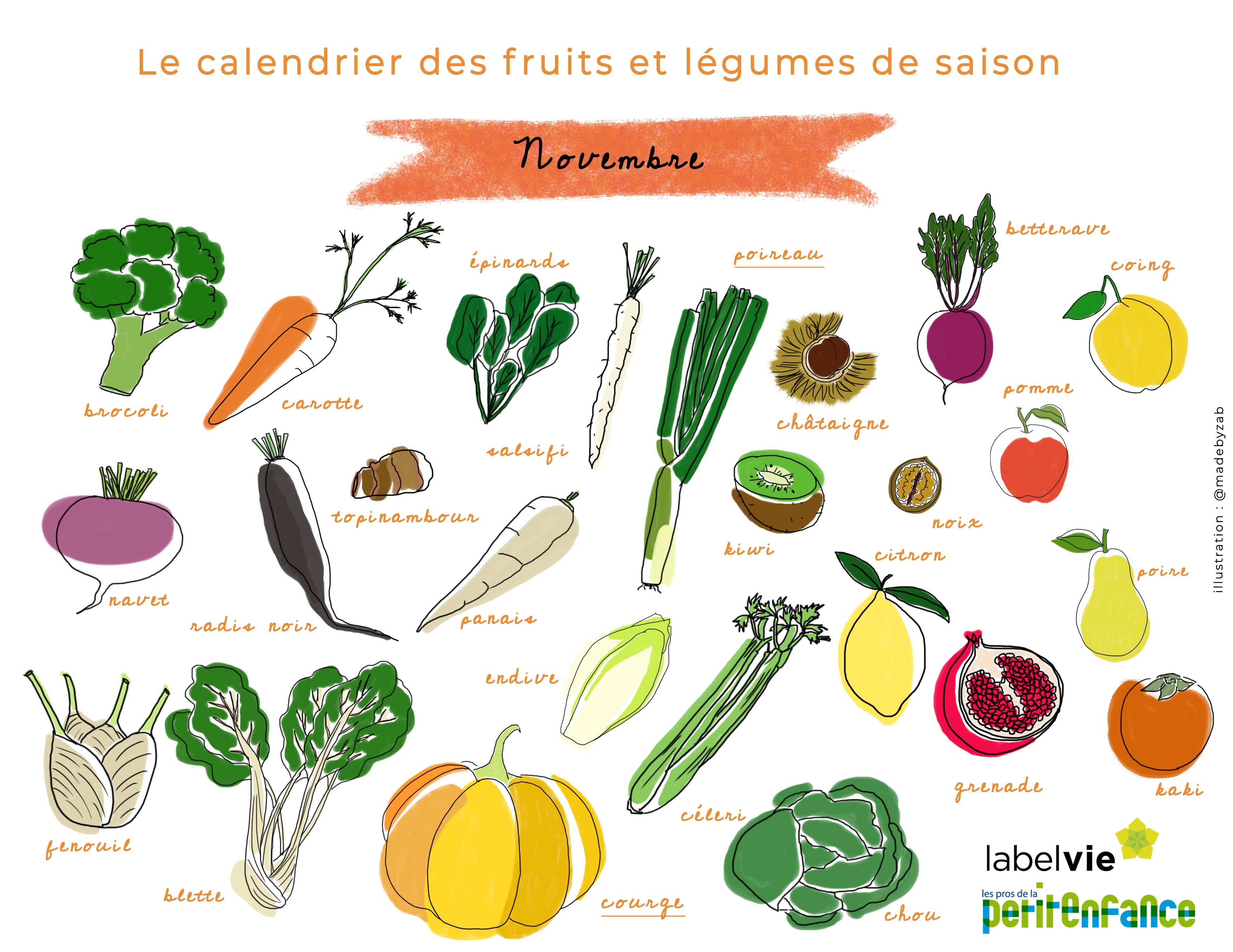 Calendrier des fruits et légumes de saison de novembre