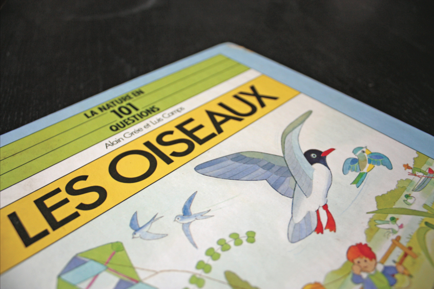 Livre Les oiseaux d'Alain Grée