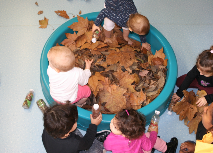 piscine à feuilles