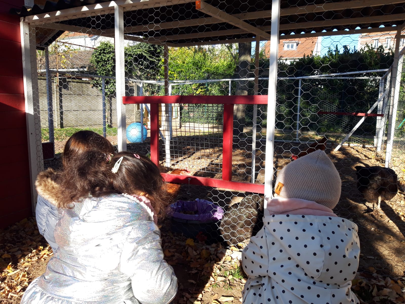 Poulailler de la crèche Les Bruyères