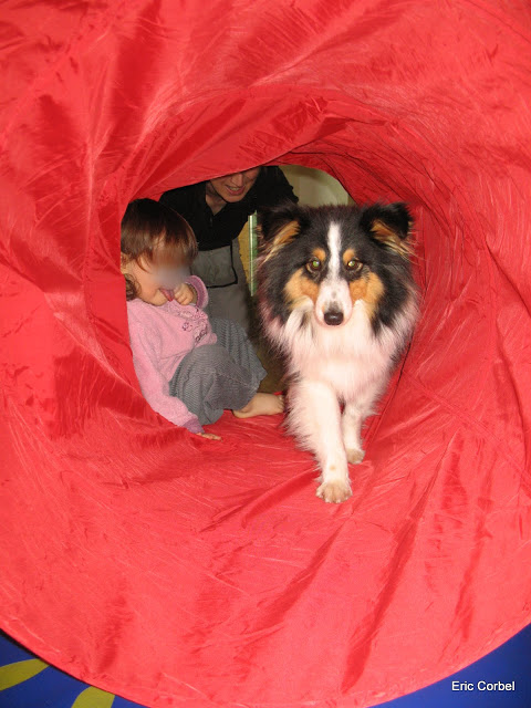 Un chien à la crèche