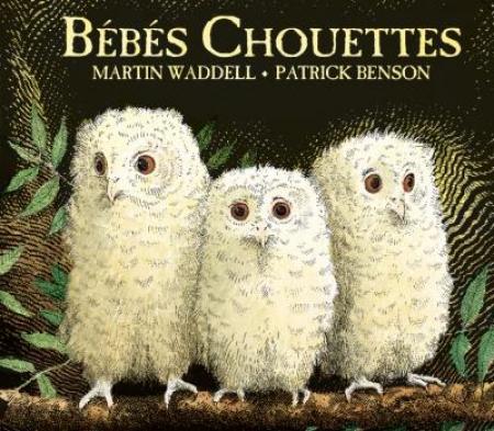 Livre Bébés Chouettes