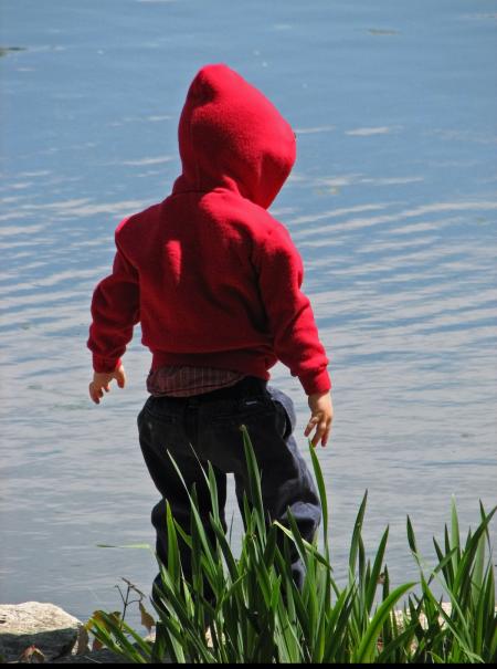 tout-petit devant eau