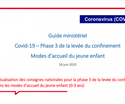 guide ministériel COVID 19-Modes d'accueil