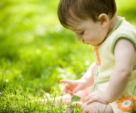 bébé dans l' herbe