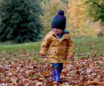 petit garçon qui marche dans les feuilles