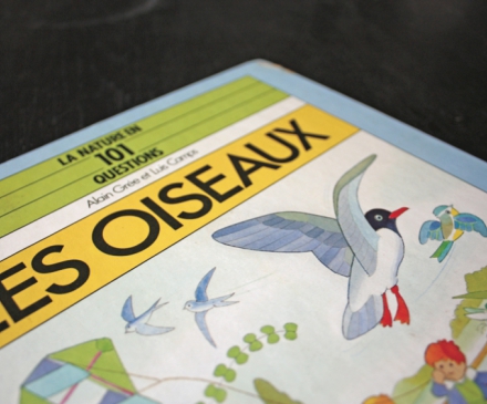 Livre Les oiseaux d'Alain Grée