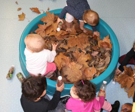 piscine à feuilles