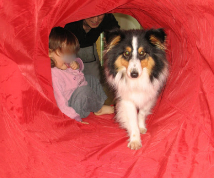 Un chien à la crèche