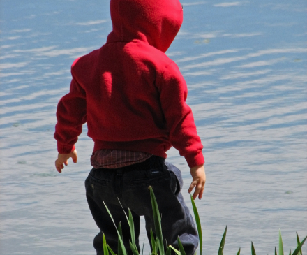 tout-petit devant eau