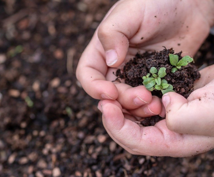 mains enfant jardinage