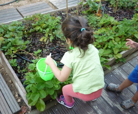 petits enfants qui jardinent