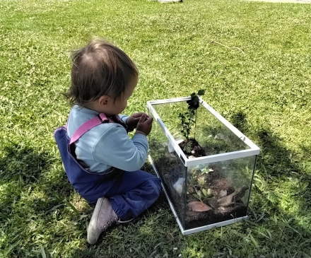 Accueil en plein air dans les micro-crèches Plantine 