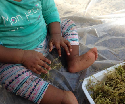 atelier reggio avec un enfant