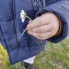 petit enfant avec margueritte