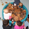 piscine à feuilles