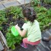 petits enfants qui jardinent