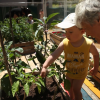 enfant et pro dans un potager